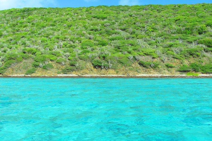 Monumento Nacional de Buck Island Reef