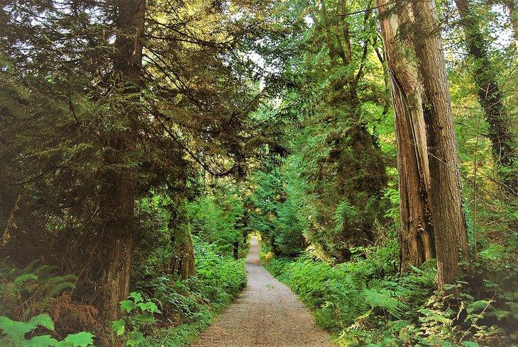 Sendero en Stanley Park