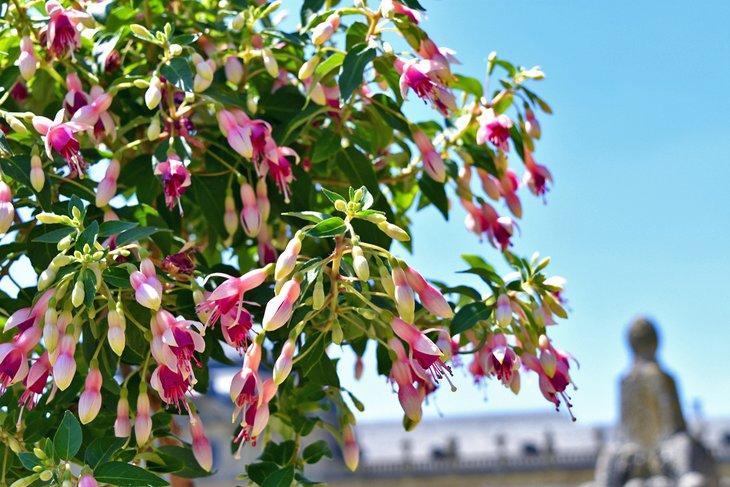 Jardines Botánicos en Würzburg