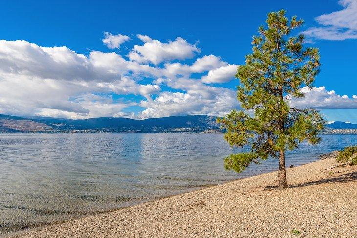Lago Okanagan