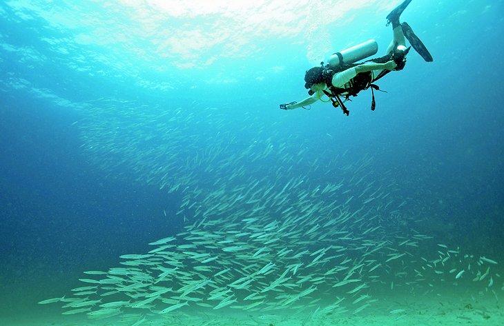 Buceo y Esnórquel