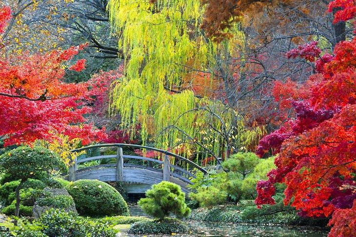 Jardin japonais au Jardin botanique de Fort Worth