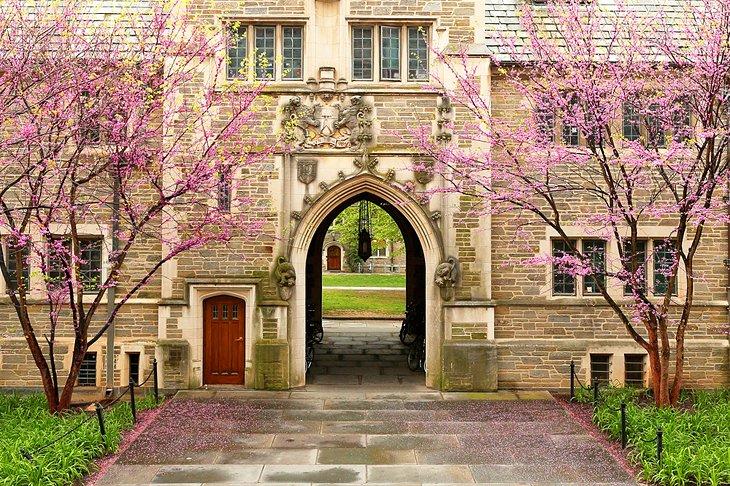 Universidad de Princeton