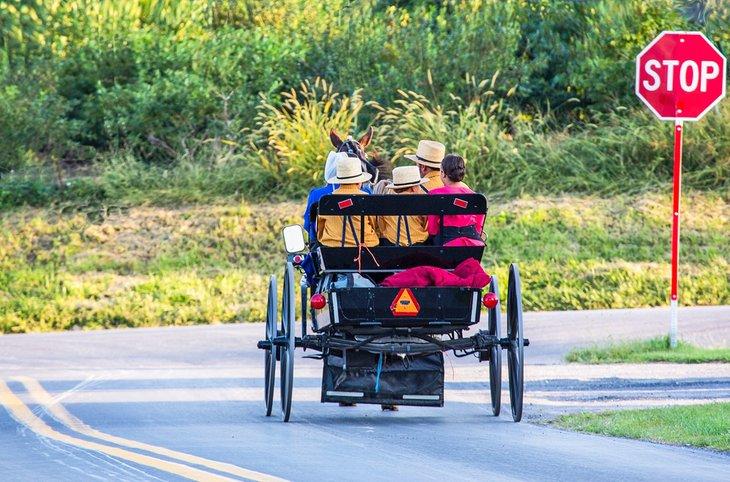 Carroza Amish en Strasburg