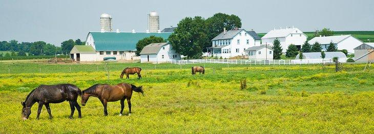 Granja Amish cerca de Intercourse, PA