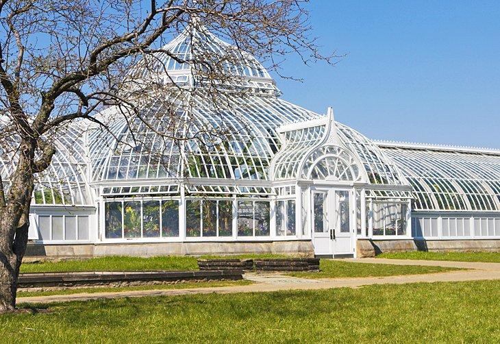 Conservatorio Phipps