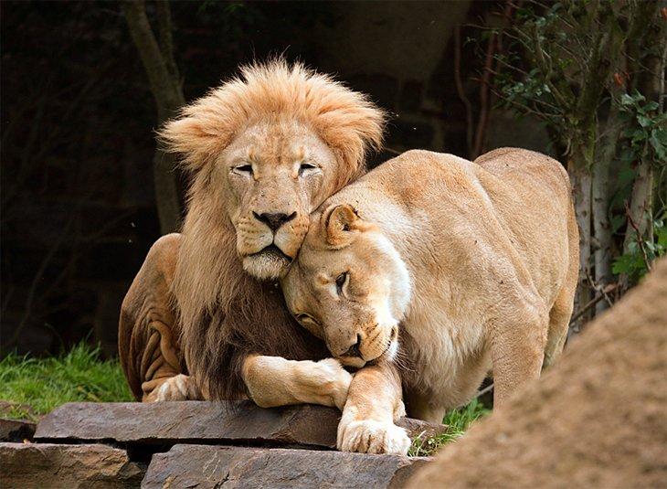 Zoo de Filadelfia