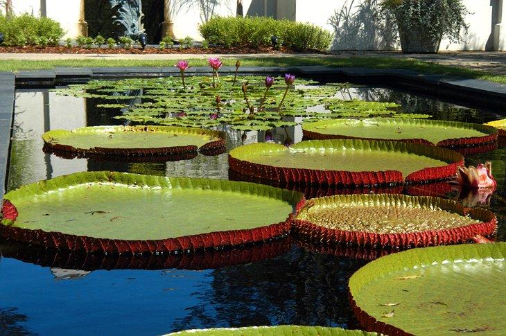 Jardines Botánicos de Birmingham
