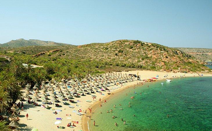 Playa Palm