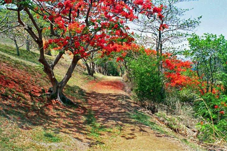 Sendero Natural Tet Paul