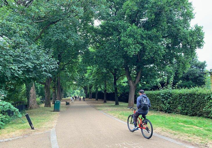 Parque Bute