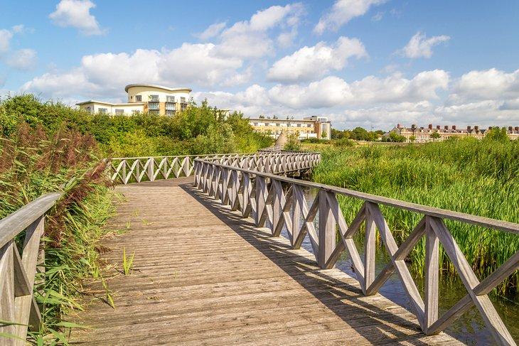 Sendero peatonal por los humedales en el Puerto de Cardiff