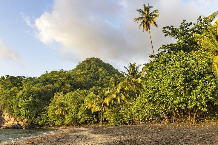 Anse Céron