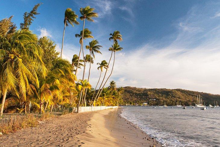 Playa Grand Anse d'Arlet