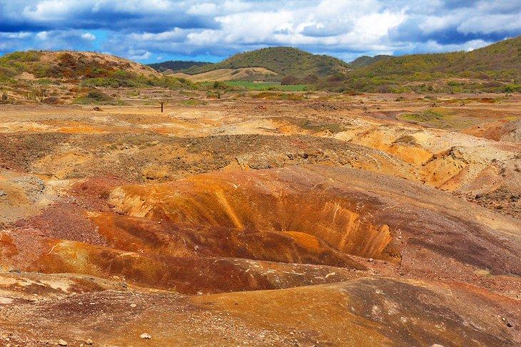Sabana de Petrificaciones