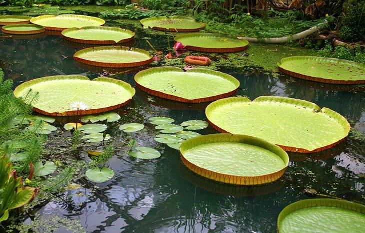 Jardines Botánicos de Aarhus