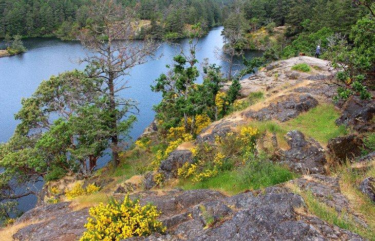 Thetis Lake Sendero de Senderismo