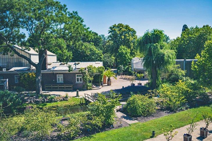 Jardín Botánico de TU Delft