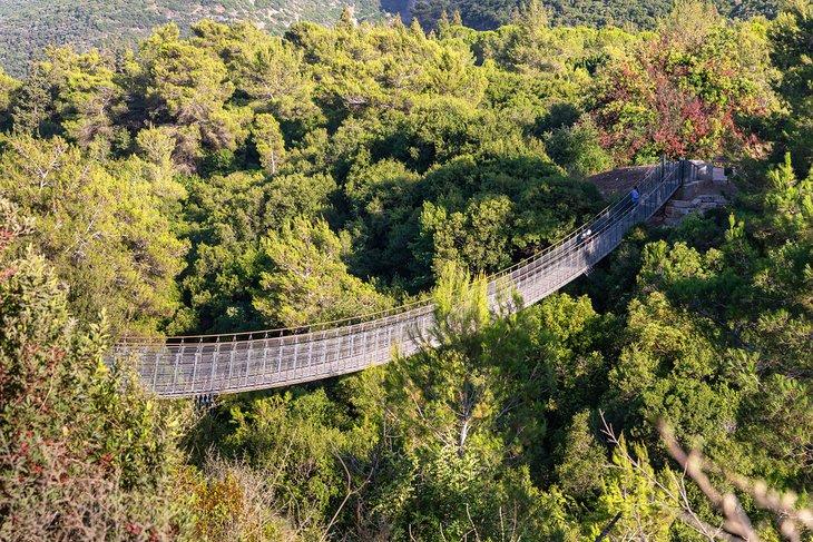 Puente colgante en el Parque Nesher