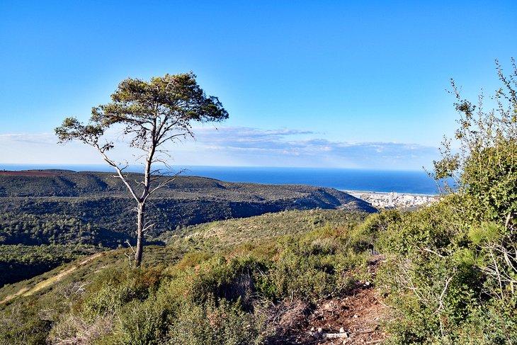 Monte Carmelo