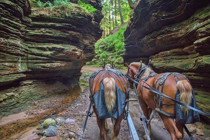 Caballos en el Cañón Perdido