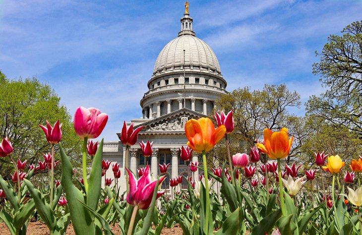 Tulipanes frente al Capitolio del Estado de Wisconsin
