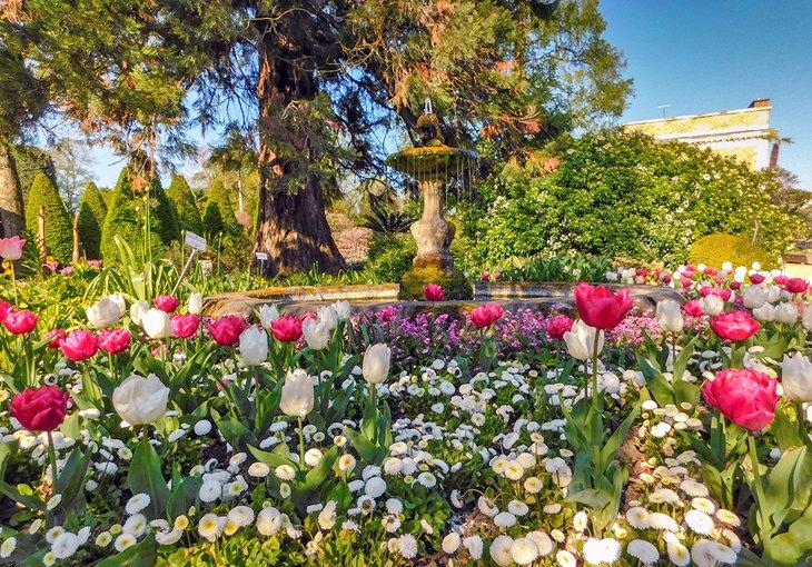Frühling im Botanischen Garten von Leuven