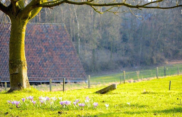 Landschaft bei Rixensart