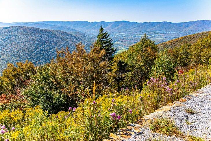 Aussicht vom Mount Greylock