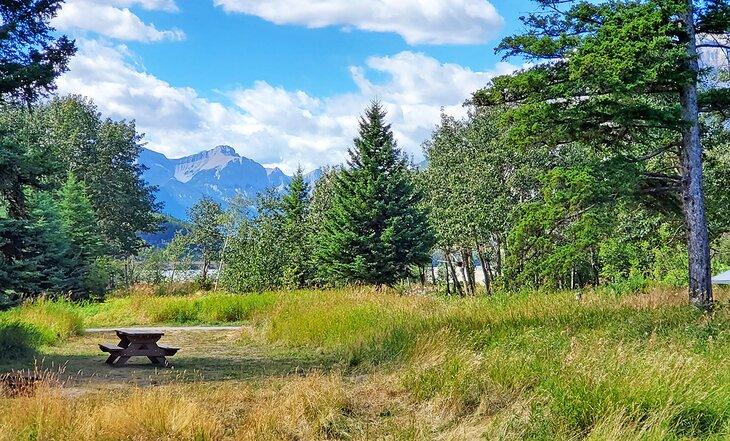 Camping Lac Des Arcs cerca de Canmore