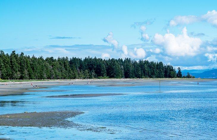 Plage de Rathtrevor
