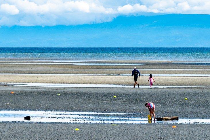 Amusement familial à Rathtrevor Beach