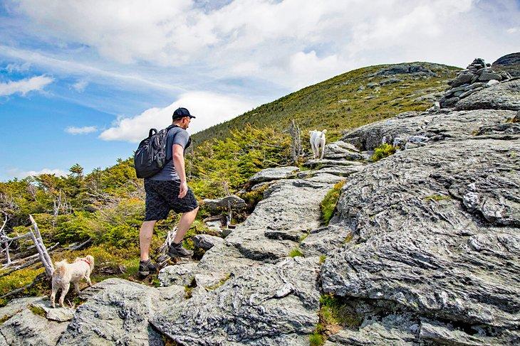 Excursionista en Mt. Mansfield