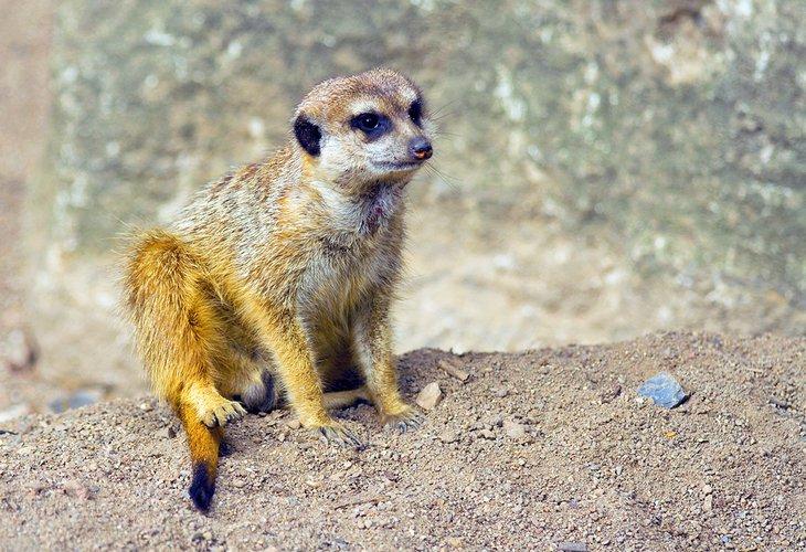 Zoo de Schwerin