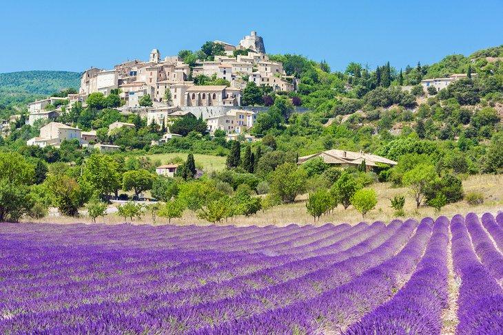 Campo de lavanda frente a Simiane la Rotonde, Provenza, Francia