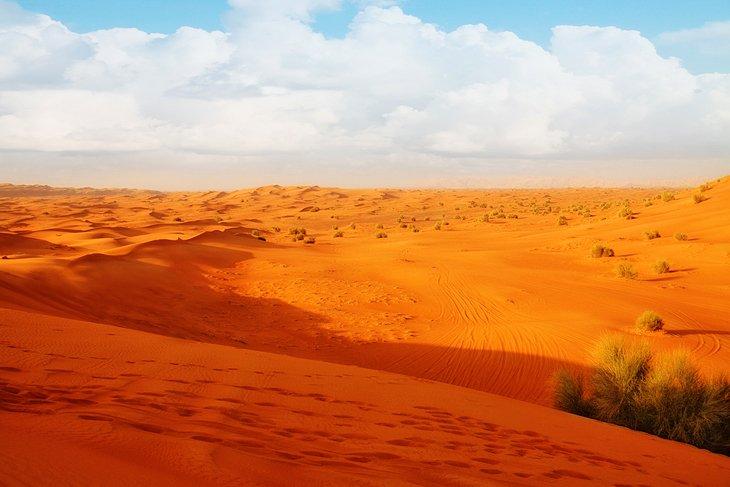 Rutas en el desierto