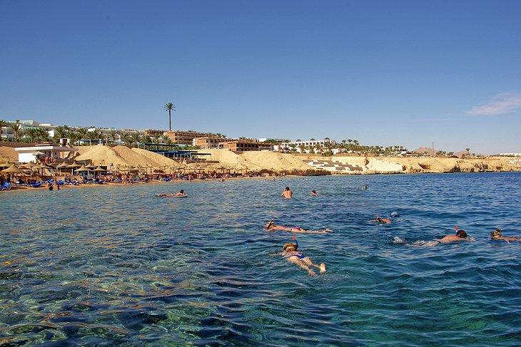 Baie des requins