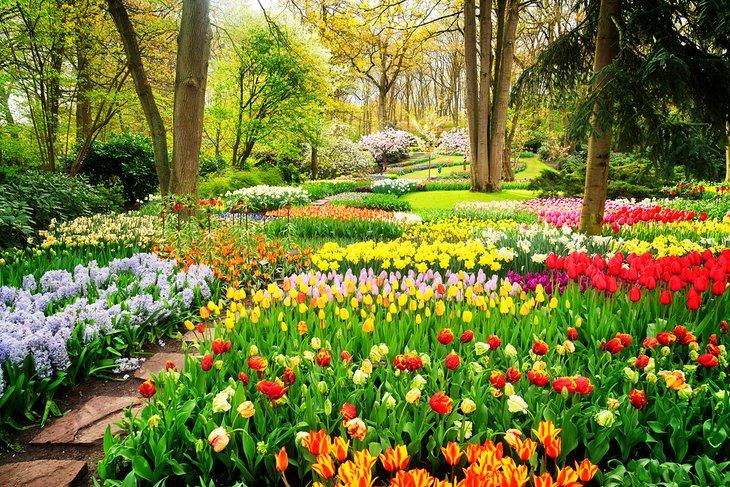 Keukenhof-Gärten, Lisse