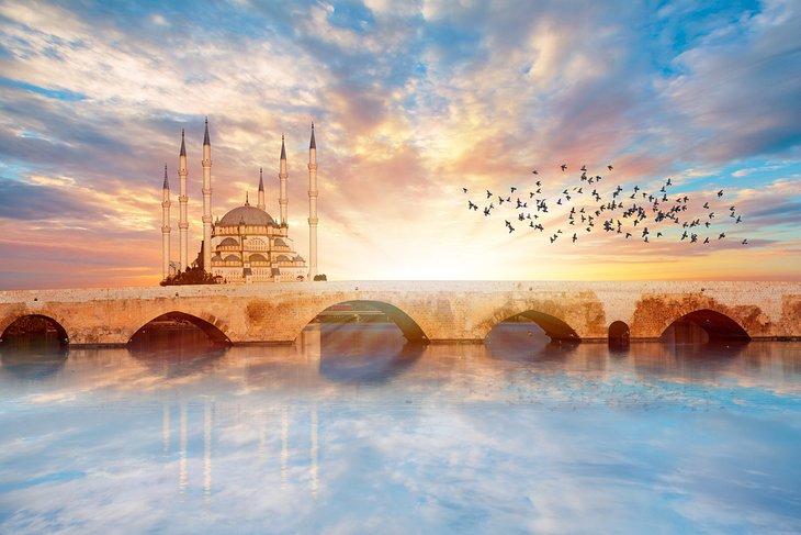 Mezquita Sabancı Merkez vista desde el río