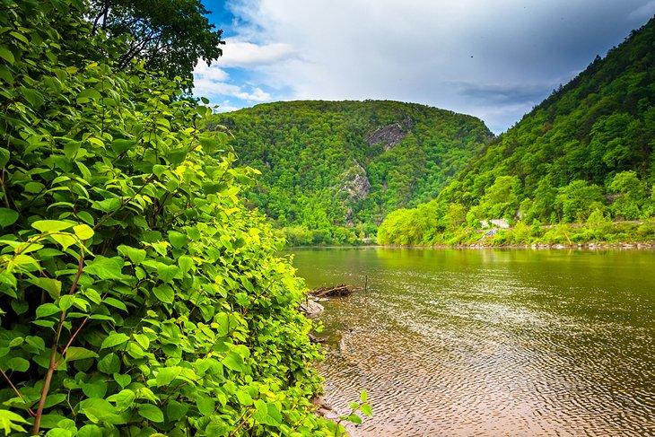 Área de Recreación Nacional Delaware Water Gap