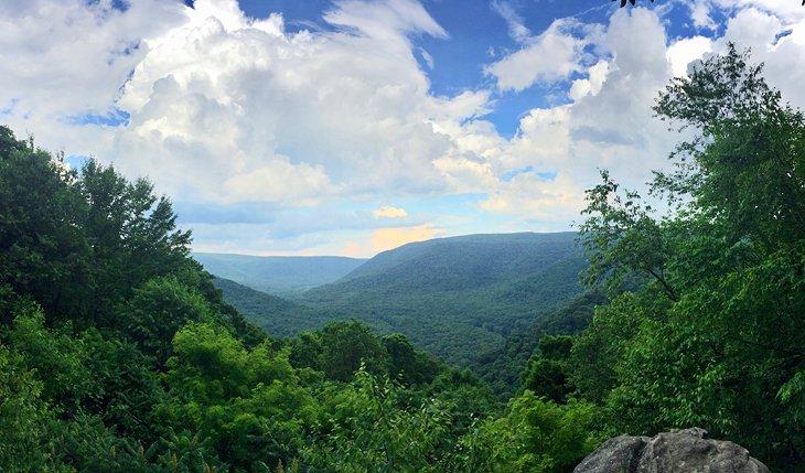 Parque Estatal Ohiopyle