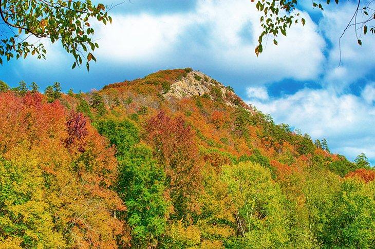 Parque Estatal Pinnacle Mountain