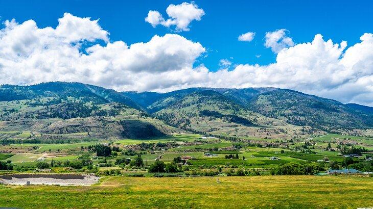 Oliver en el Valle de Okanagan