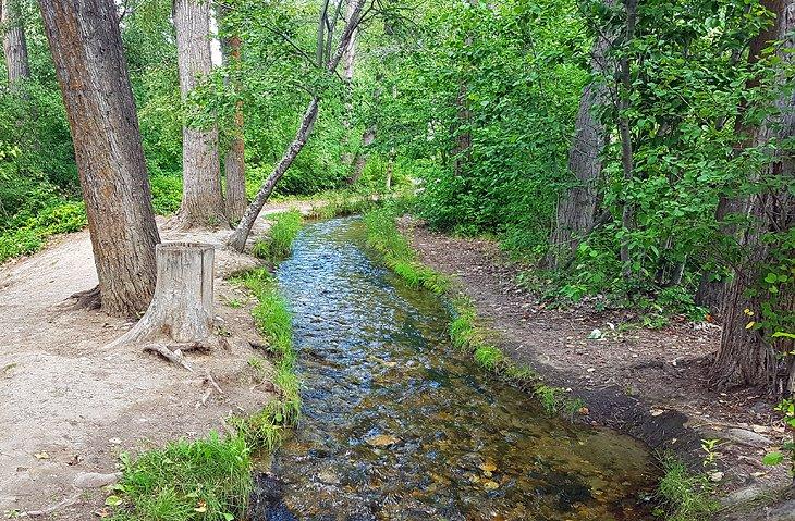 Parque Regional Mission Creek