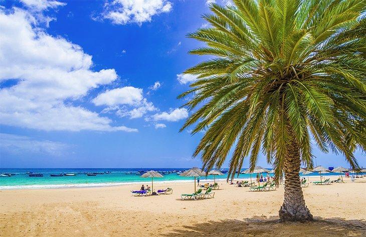Die Strände von Teneriffa