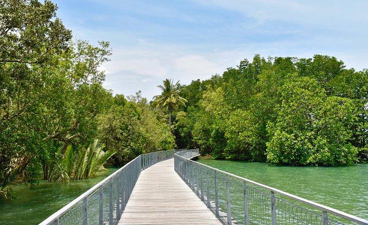 Pasarela a través de los humedales en la isla Pulau Ubin