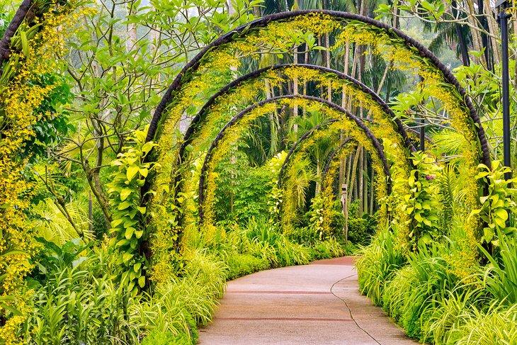Arcos con orquídeas amarillas en el Jardín de las Orquídeas