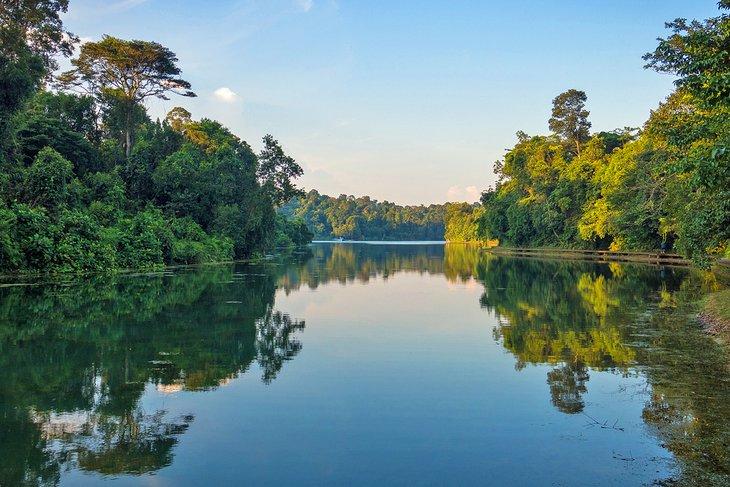 Embalse MacRitchie