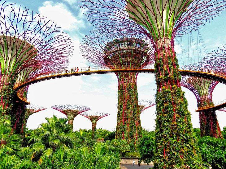Jardines de la Bahía