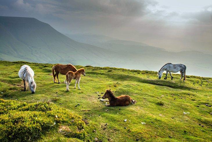 Parque Nacional de Brecon Beacons